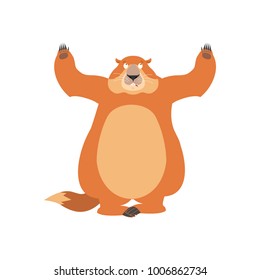 Groundhog confused oops. Woodchuck perplexed emotions. Marmot surprise. Groundhog day Vector illustration
