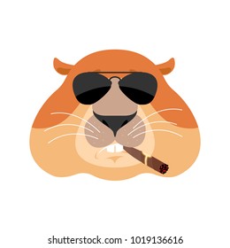 Groundhog Cool serious avatar of emotions. Woodchuck smoking cigar emoji. Marmot strict. Groundhog day Vector illustration