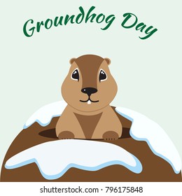 Groundhog Day card with cute marmot