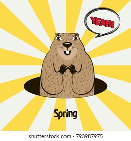 Groundhog Day card as funny cartoon character of marmot with speech bubble. Vector illustration.