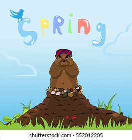 Groundhog day cartoon color character of marmot after a hibernation. Vector illustration.