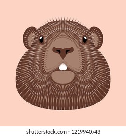 Groundhog Day. Concept National holiday in the USA and Canada. Vector illustration of the face of the animal groundhog