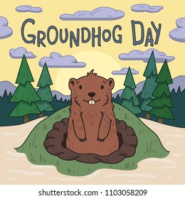 Groundhog day. Cute groundhog looking out from the burrow on picturesque pine forest and morning sky background. Line vector illustration. Colored cartoon style.