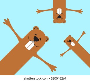 Groundhog day funny marmots background. Flat design. Vector illustration.