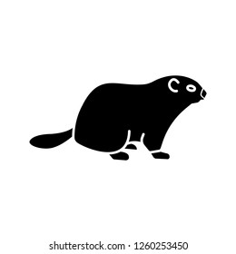 Groundhog Day glyph icon. Woodchuck. February 2nd. Silhouette symbol. Negative space. Vector isolated illustration