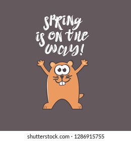 Groundhog Day greeting card with cute smiling marmot and handwritten text on gray background. Inscription - Spring is on the way