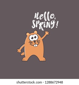 Groundhog Day greeting card with cute smiling marmot and handwritten text on gray background. Inscription - Hello, spring