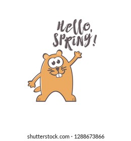 Groundhog Day greeting card with cute smiling marmot and handwritten text on white background. Inscription - Hello, spring