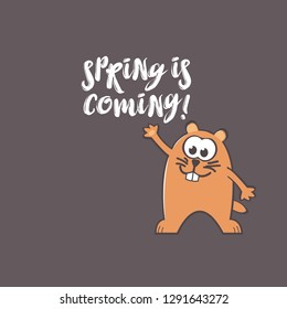 Groundhog Day greeting card with cute smiling marmot and handwritten text on gray background. Inscription - Spring is coming