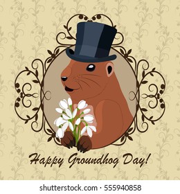 Groundhog day greeting card with cute marmot in black hat with flowers sitting in vintage frame.