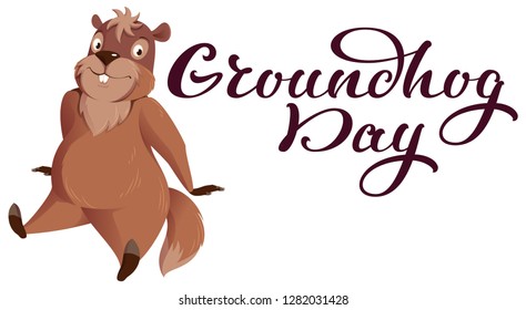 Groundhog Day hand written calligraphy text for greeting card. Funny groundhog sitting. Isolated on white vector cartoon illustration