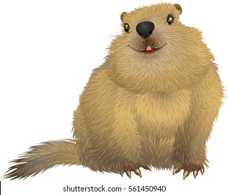 Groundhog day. Happy cute furry animal groundhog.