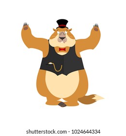 Groundhog day. Groundhog in Hat  confused oops. Woodchuck perplexed emotions. Marmot surprise. Vector illustration