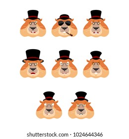 Groundhog day. Groundhog in Hat set emoji avatar. sad and angry face. guilty and sleeping. Woodchuck sleeping emotion face. marmot  Eggplant. Vector illustration