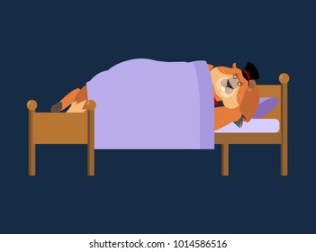 Groundhog day. Groundhog in Hat sleeping on bed. Woodchuck asleep. Marmot dormant. Vector illustration