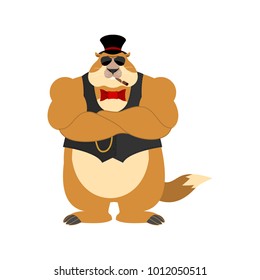 Groundhog day. Groundhog in hat Strong, Cool and serious. Woodchuck smoking cigar. Marmot strict. Vector illustration