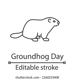 Groundhog Day linear icon. Thin line illustration. Woodchuck. February 2nd. Contour symbol. Vector isolated outline drawing. Editable stroke