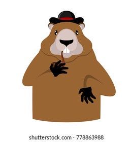 Groundhog Day. Marmot in hat. Rodent aristocrat. Illustration for National holiday