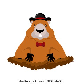 Groundhog Day. Marmot in hat. Rodent aristocrat. Illustration for National holiday