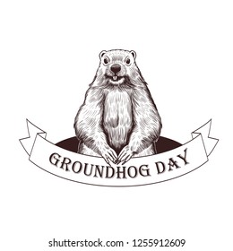 Groundhog Day. Groundhog  on the background of the burrow and a ribbon banner with the inscription. Holiday illustration. Engraved style elements . Vintage monochrome sketch.