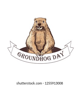 Groundhog Day. Groundhog  on the background of the burrow and a ribbon banner with the inscription. Holiday illustration. Engraved style elements . Vintage color sketch.