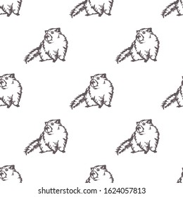 Groundhog Day seamless patterns with hand drawn Groundhog. Suitable for packaging, wrappers, fabric design