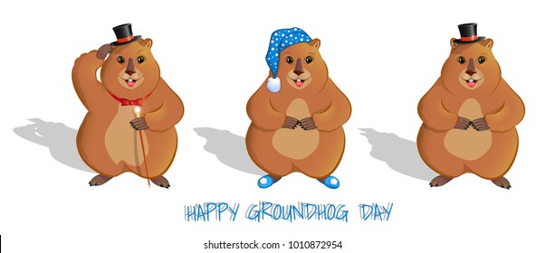 Groundhog Day. A set of three rodents. In a cylinder, in slippers and a nightcap, with a cane, with a bow tie. Long shadow. Meteorological sign. Isolated on white background. Vector illustration.