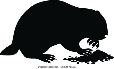 Groundhog Day. Silhouette of a Groundhog Eating in the Dark