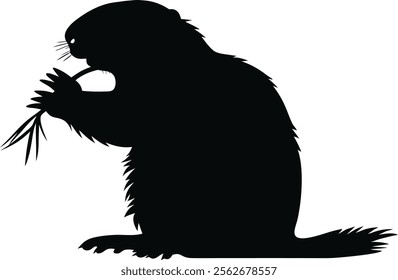 Groundhog Day. Silhouette of a Groundhog Eating Vegetation