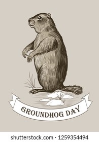 
Groundhog Day. Sketch groundhog, snow, young grass and a banner banner with the inscription.Vector vintage illustration. Engraved style elements . 