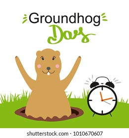 Groundhog Day. Vector illustration with cute brown waking groundhog. Lettering Groundhog Day. Groundhog hole. Ringing alarm clock. Marmot. February 2. Cartoon style. Happy animal. 