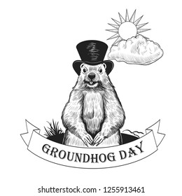 groundhog with top hat