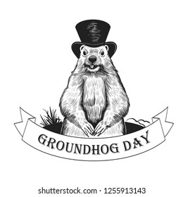 Groundhog Day. Groundhog weatherman in hat on the background of the burrow and a ribbon banner with the inscription. Holiday illustration. Engraved style elements . Vintage color sketch.