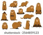 Groundhog Day Woodchuck Marmot Happy Funny Cute Animal Cartoon Isolated Character Various Poses