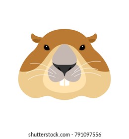 Groundhog face. Woodchuck head. Marmot. Vector illustration