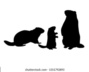 Groundhog family. Silhouettes rodent of animals. Vector illustrator