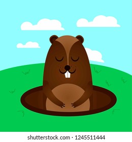 groundhog flat illustration