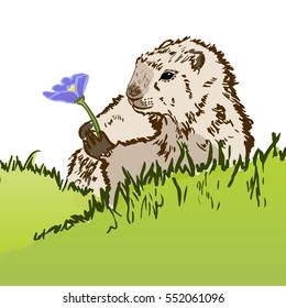 The groundhog with flower comes out of its hole. Vector holiday illustration