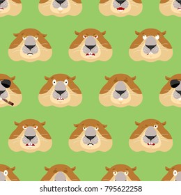 Groundhog head pattern. Woodchuck background. Ornament face Marmot. Groundhog day Vector illustration