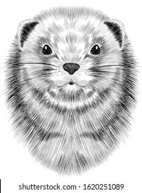 Groundhog head portrait of a cute vector black and white 