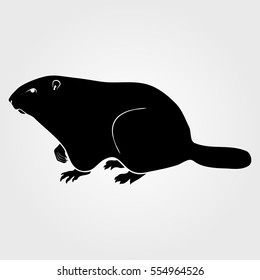 Groundhog Icon On A White Background