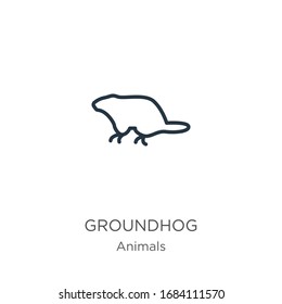 Groundhog icon. Thin linear groundhog outline icon isolated on white background from animals collection. Line vector sign, symbol for web and mobile