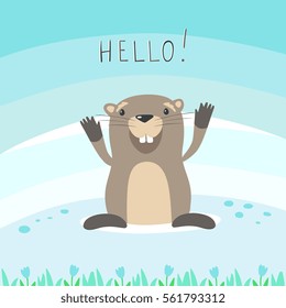 Groundhog and inscription Hello - Vector Illustration