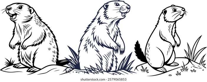 Groundhog line art vector illustration