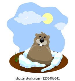 groundhog looks out of burrow. Suny day.Groundhog Day.marmot shadow.Vector illustration.isolated on white background.