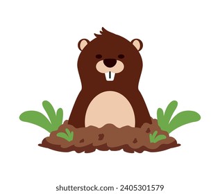 groundhog nature design illustration isolated