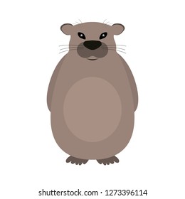 Groundhog on a white background.