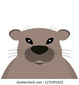 Groundhog on a white background.