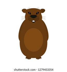 Groundhog on a white background.