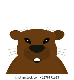 Groundhog on a white background.